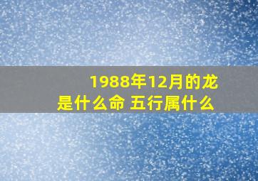 1988年12月的龙是什么命 五行属什么